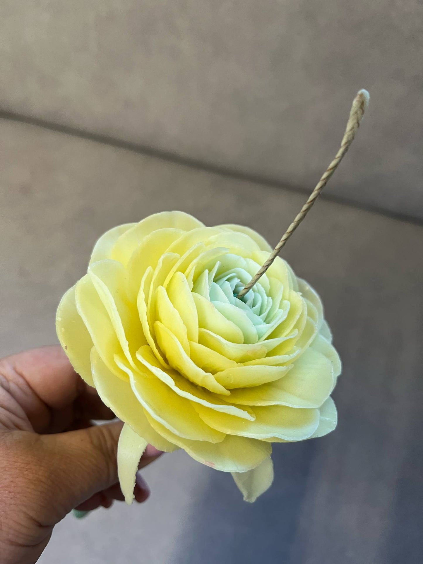 Vėdryno (Ranunculus) žiedo žvakė ant koto pagaminta iš balto bičių vaško