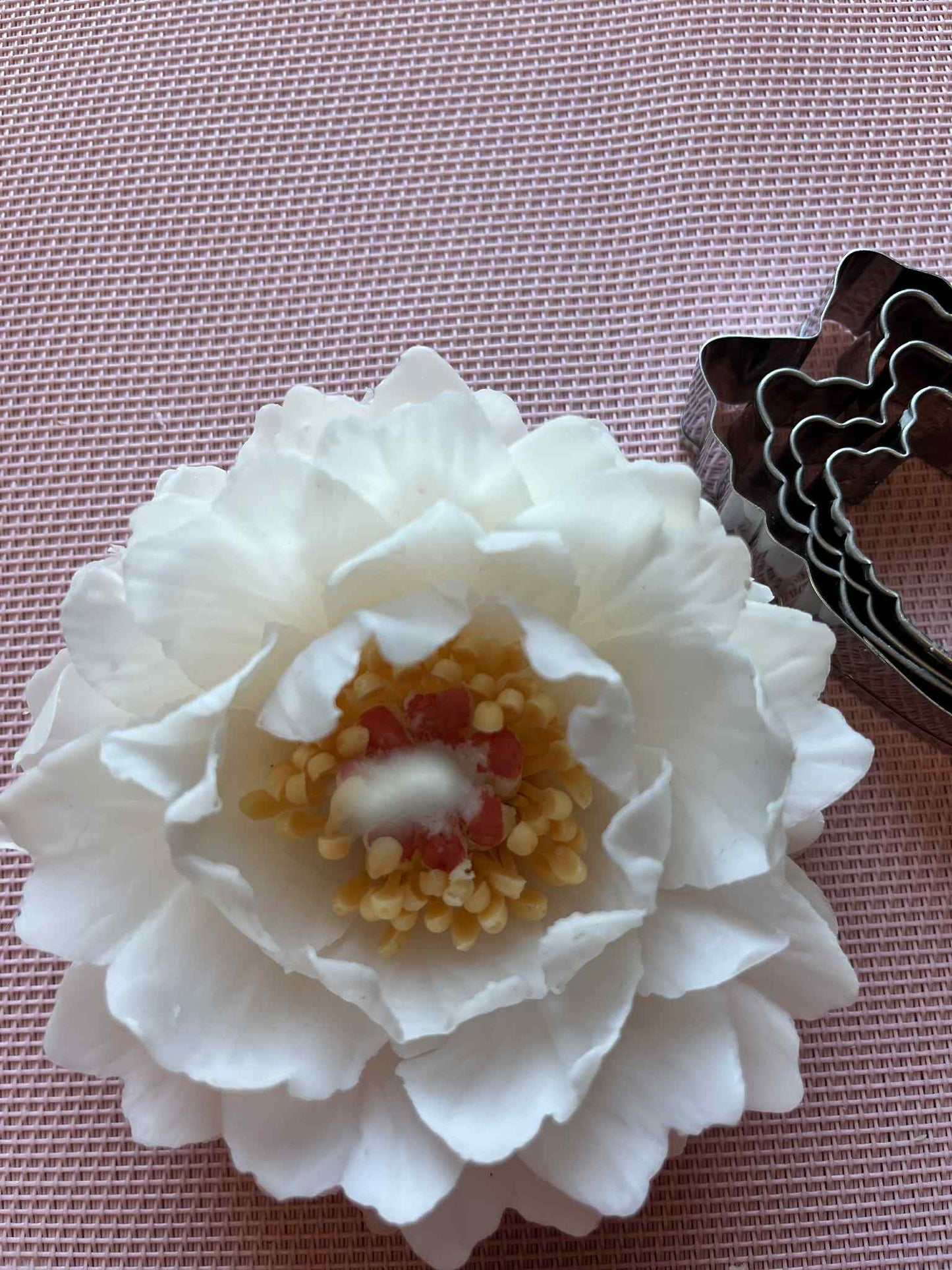 Mini bijūno žiedas žvakė