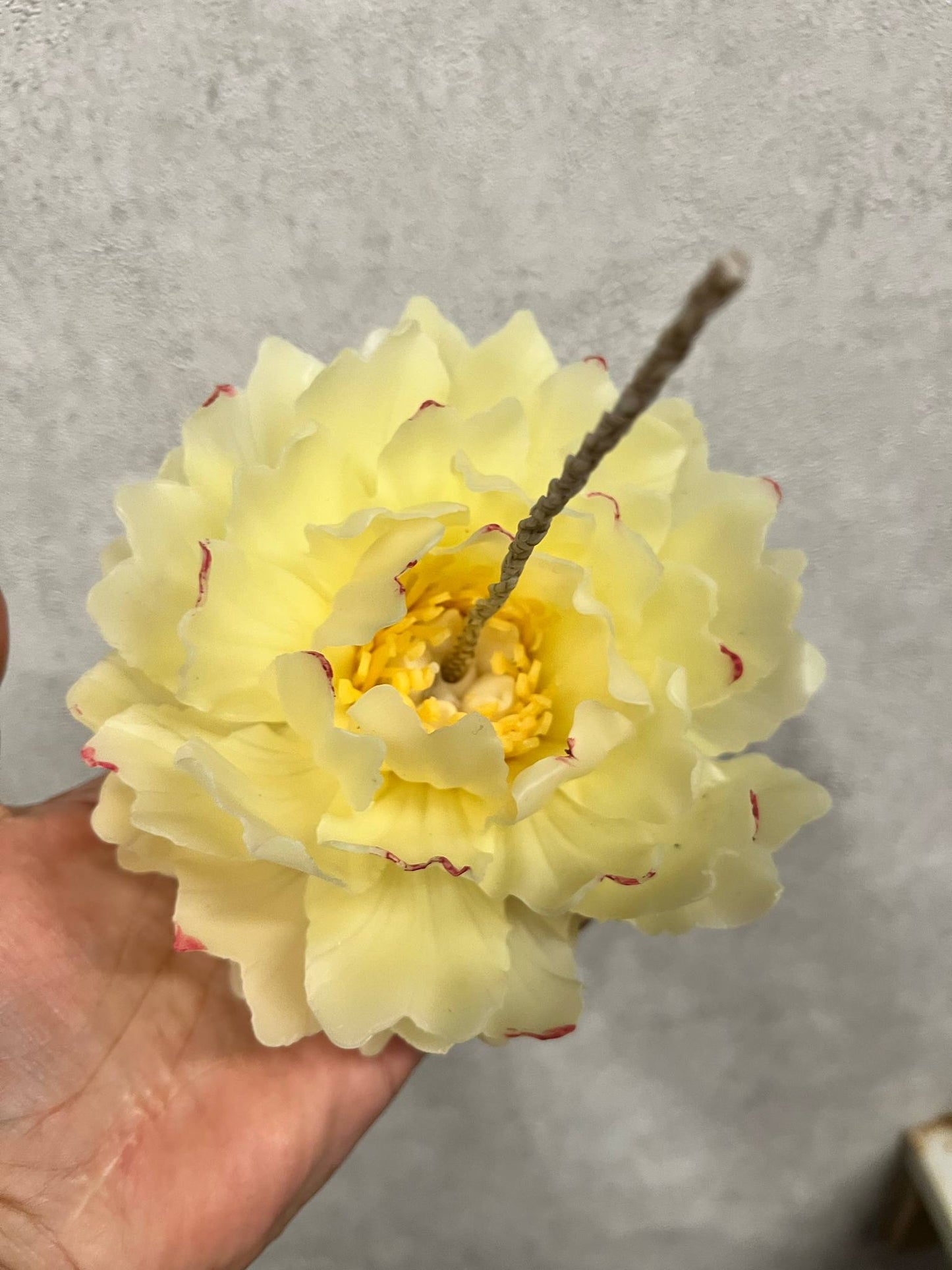 Mini bijūno žiedas žvakė