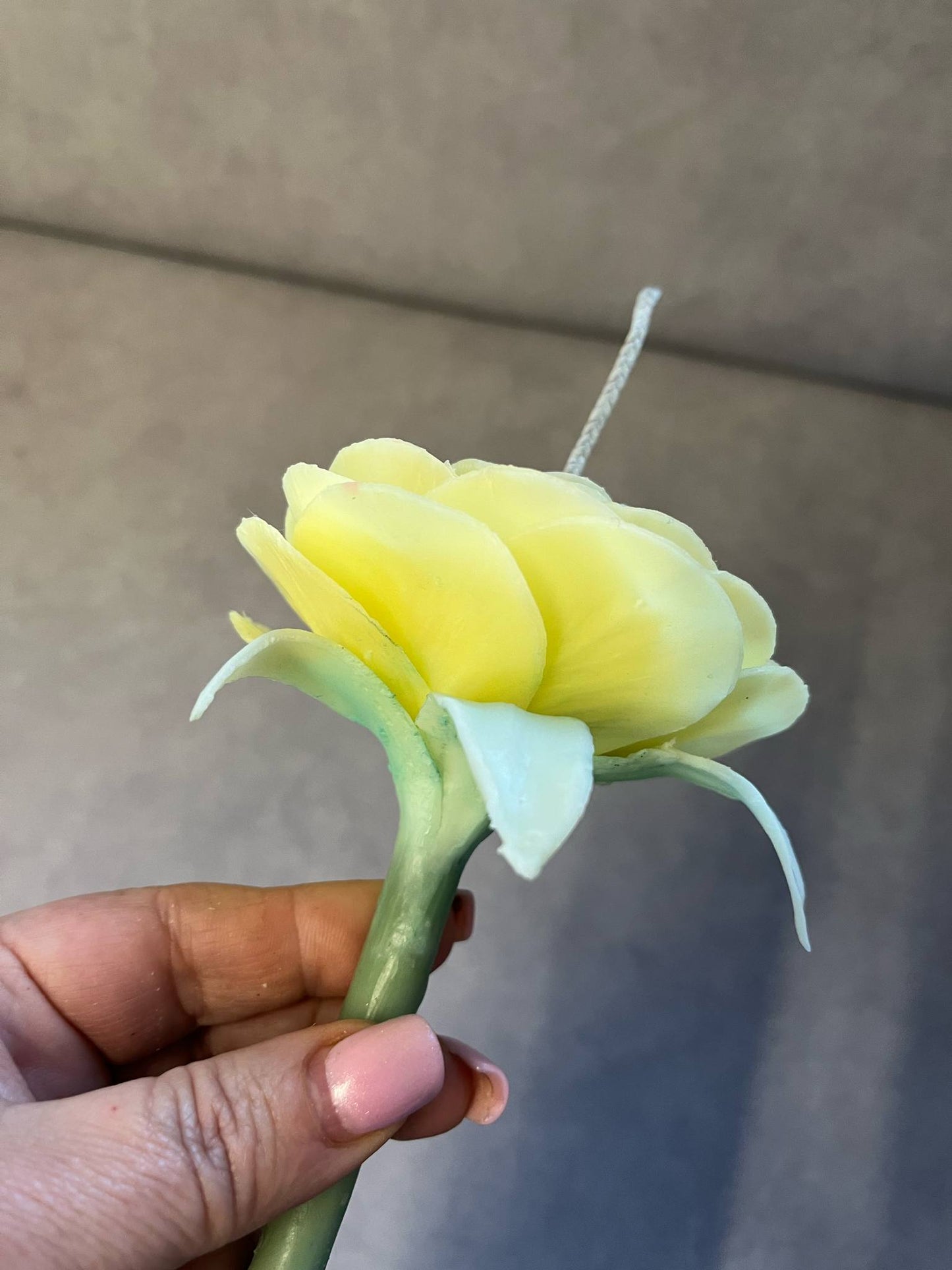 Vėdryno (Ranunculus) žiedo žvakė ant koto pagaminta iš balto bičių vaško