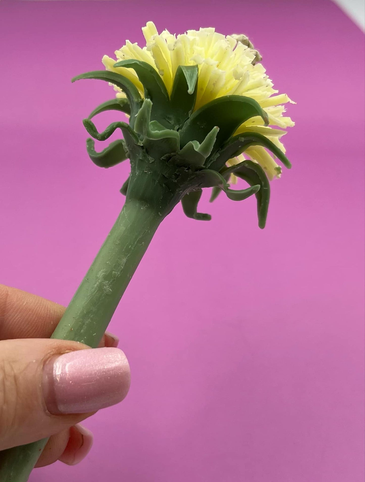 Pienės žiedo žvakė ant koto pagaminta iš balto bičių vaško