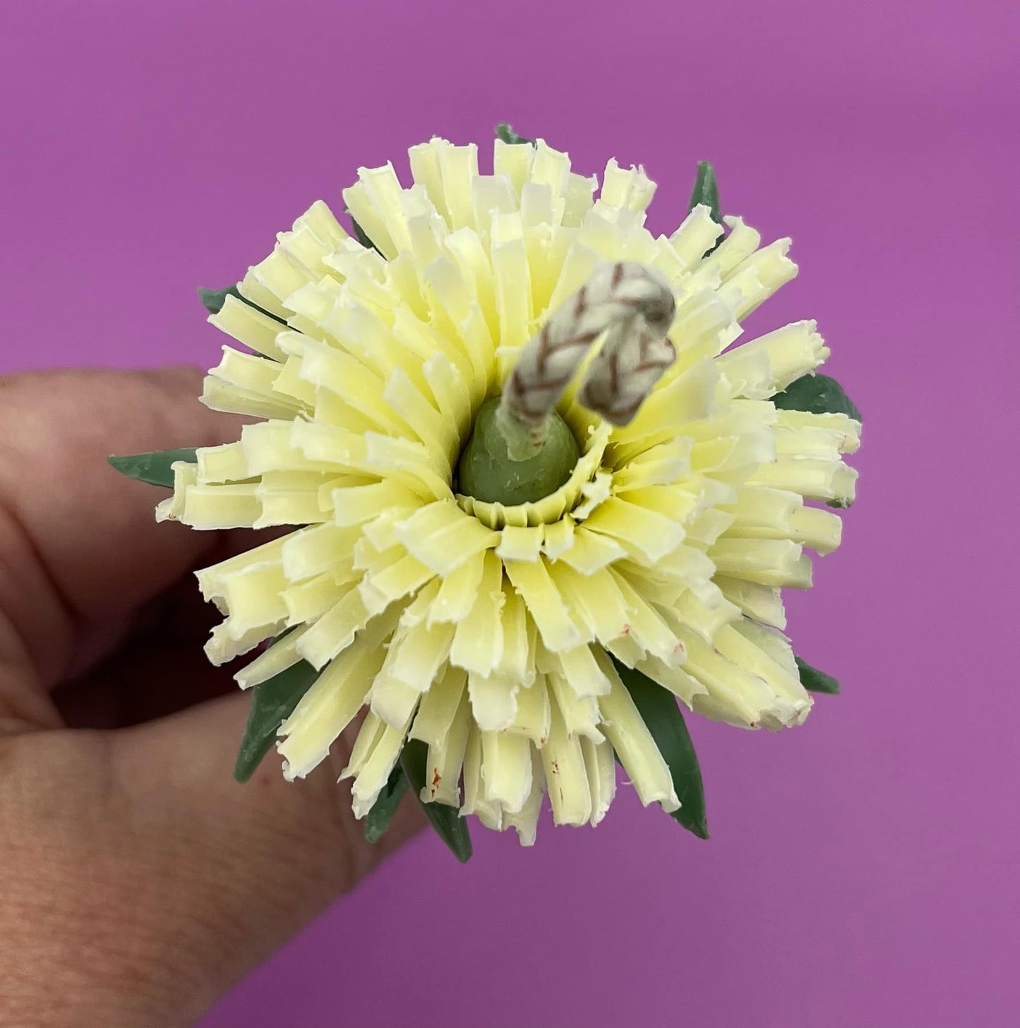 Pienės žiedo žvakė ant koto pagaminta iš balto bičių vaško